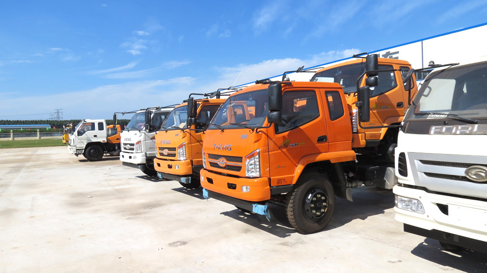 中國(guó)龍升吊車